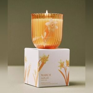 Anthropologie Birth Month Flower Boxed Candle Daffodil & Ivy Leaves